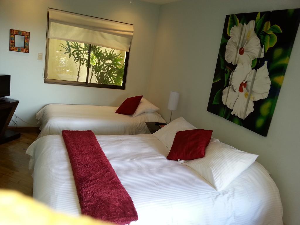 Out Of Bounds Boutique Hotel サンホセ 部屋 写真