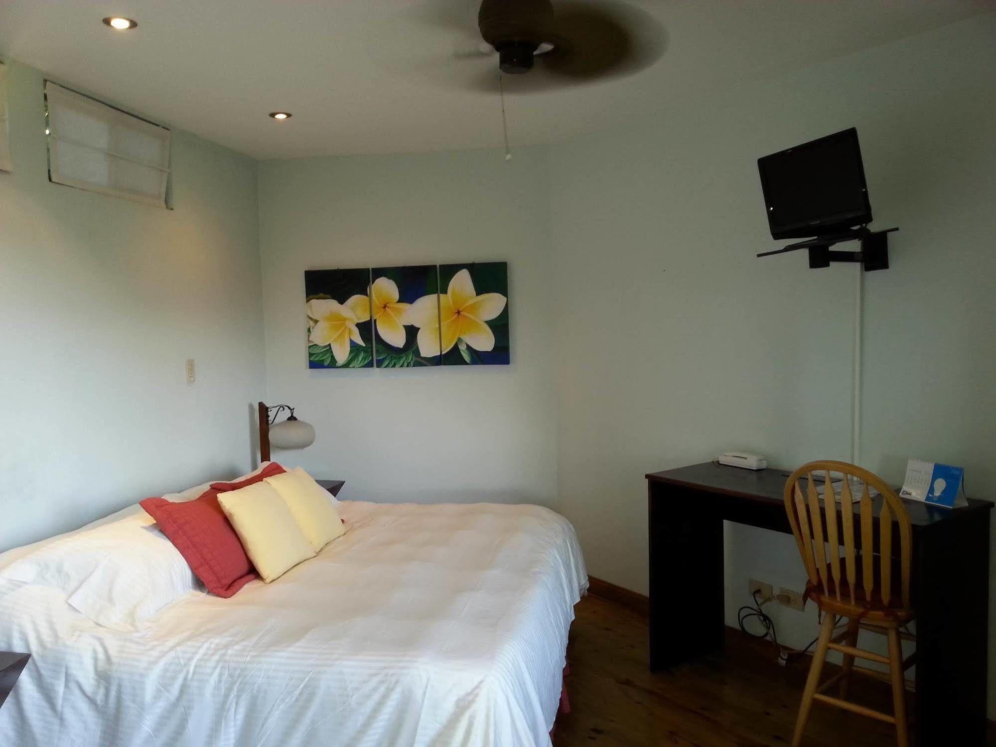 Out Of Bounds Boutique Hotel サンホセ エクステリア 写真